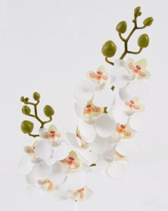 Artificial Flower 15*15*60cm Phalaenopsis *12 single stem GS-64924013CT-W1 2024Jul YeahFlower is one of Chinese leading OEM manufacturers and exporters , supplying the silk flowers, wholesale artificial trees