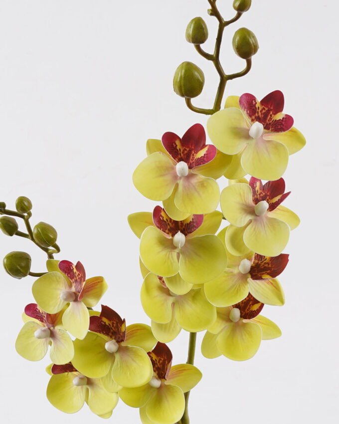 Artificial Flower 15*15*60cm Phalaenopsis *12 single stem GS-64924013CT 2024Jul YeahFlower is one of Chinese leading OEM manufacturers and exporters , supplying the silk flowers, wholesale artificial trees