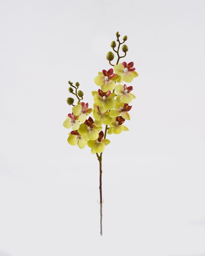 Artificial Flower 15*15*60cm Phalaenopsis *12 single stem GS-64924013CT 2024Jul YeahFlower is one of Chinese leading OEM manufacturers and exporters , supplying the silk flowers, wholesale artificial trees