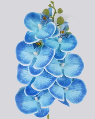 Artificial Flower 17*17*72cm Phalaenopsis *7 Single stem GS-64924019CT-B1 2024Jul YeahFlower is one of Chinese leading OEM manufacturers and exporters , supplying the silk flowers, wholesale artificial trees Artificial Flower 17*17*72cm Phalaenopsis *7 Single stem GS-64924019CT-B1 2024Jul YeahFlower is one of Chinese leading OEM manufacturers and exporters , supplying the silk flowers, wholesale artificial trees