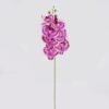 Artificial Flower Phalaenopsis 7 Single stem GS-64924019CT-Z1 Artificial Flower 17*17*72cm Phalaenopsis *7 Single stem GS-64924019CT-Z1 2024Jul YeahFlower is one of Chinese leading OEM manufacturers and exporters , supplying the silk flowers, wholesale artificial trees