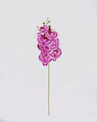 Artificial Flower 17*17*72cm Phalaenopsis *7 Single stem GS-64924019CT-Z1 2024Jul YeahFlower is one of Chinese leading OEM manufacturers and exporters , supplying the silk flowers, wholesale artificial trees Artificial Flower 17*17*72cm Phalaenopsis *7 Single stem GS-64924019CT-Z1 2024Jul YeahFlower is one of Chinese leading OEM manufacturers and exporters , supplying the silk flowers, wholesale artificial trees