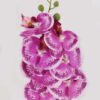 Artificial Flower Phalaenopsis 7 Single stem GS-64924019CT-Z1_1 Artificial Flower 17*17*72cm Phalaenopsis *7 Single stem GS-64924019CT-Z1 2024Jul YeahFlower is one of Chinese leading OEM manufacturers and exporters , supplying the silk flowers, wholesale artificial trees