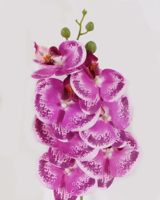 Artificial Flower 17*17*72cm Phalaenopsis *7 Single stem GS-64924019CT-Z1 2024Jul YeahFlower is one of Chinese leading OEM manufacturers and exporters , supplying the silk flowers, wholesale artificial trees Artificial Flower 17*17*72cm Phalaenopsis *7 Single stem GS-64924019CT-Z1 2024Jul YeahFlower is one of Chinese leading OEM manufacturers and exporters , supplying the silk flowers, wholesale artificial trees