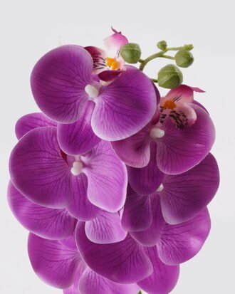 Artificial Flower 17*17*72cm Phalaenopsis *7 Single stem GS-64924019CT-Z2 2024Jul YeahFlower is one of Chinese leading OEM manufacturers and exporters , supplying the silk flowers, wholesale artificial trees Artificial Flower 17*17*72cm Phalaenopsis *7 Single stem GS-64924019CT-Z2 2024Jul YeahFlower is one of Chinese leading OEM manufacturers and exporters , supplying the silk flowers, wholesale artificial trees