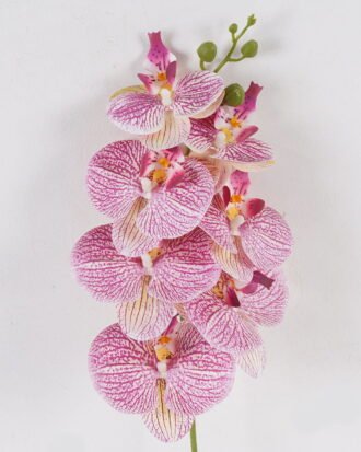 Artificial Flower 17*17*72cm Phalaenopsis *7 Single stem GS-64924019CT 2024Jul YeahFlower is one of Chinese leading OEM manufacturers and exporters , supplying the silk flowers, wholesale artificial trees Artificial Flower 17*17*72cm Phalaenopsis *7 Single stem GS-64924019CT 2024Jul YeahFlower is one of Chinese leading OEM manufacturers and exporters , supplying the silk flowers, wholesale artificial trees