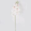 Artificial Flower 17*17*72cm Phalaenopsis *7 Single stem GS-64924019CT 2024Jul YeahFlower is one of Chinese leading OEM manufacturers and exporters , supplying the silk flowers, wholesale artificial trees