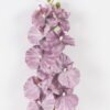 Artificial Flower 16*16*98cm Phalaenopsis  Single stem GS-17724057-Z4 2024Aug YeahFlower is one of Chinese leading OEM manufacturers and exporters , supplying the silk flowers, wholesale artificial trees