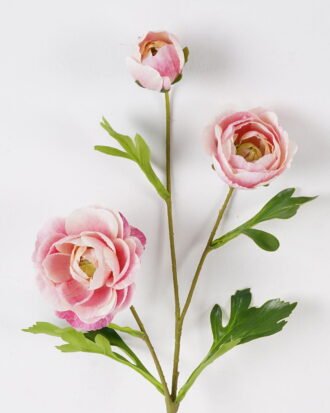 Artificial Flower 17*17*70cm Ranunculus asiaticus *3 single stem GS-39124001CT-P2 2024Jul YeahFlower is one of Chinese leading OEM manufacturers and exporters , supplying the silk flowers, wholesale artificial trees Artificial Flower 17*17*70cm Ranunculus asiaticus *3 single stem GS-39124001CT-P2 2024Jul YeahFlower is one of Chinese leading OEM manufacturers and exporters , supplying the silk flowers, wholesale artificial trees