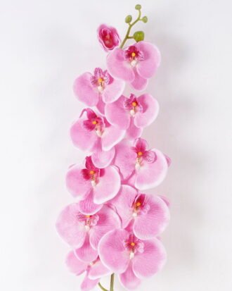 Artificial Flower 22*125cm SINGLE PHALAENOPSISI GS-0600175CT 2024Jul YeahFlower is one of Chinese leading OEM manufacturers and exporters , supplying the silk flowers, wholesale artificial trees