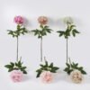 Artificial Flower 15*68CM Singel peony GS-06021001 2024Aug YeahFlower is one of Chinese leading OEM manufacturers and exporters , supplying the silk flowers, wholesale artificial trees