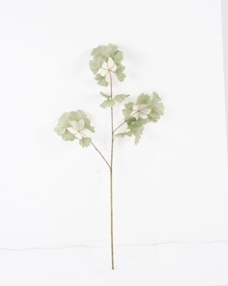 Artificial Flower 37*37*85cm ginkgo leaf single stem GS-536240025-G22 2024Aug YeahFlower is one of Chinese leading OEM manufacturers and exporters , supplying the silk flowers, wholesale artificial trees Artificial Flower 37*37*85cm ginkgo leaf single stem GS-536240025-G22 2024Aug YeahFlower is one of Chinese leading OEM manufacturers and exporters , supplying the silk flowers, wholesale artificial trees