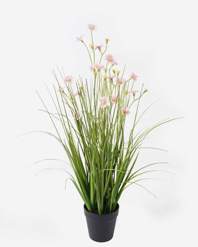 Artificial Grass 30*30*51cm Bellis perennis *5 in PP pot GS-29424086 2024Aug YeahFlower is one of Chinese leading OEM manufacturers and exporters , supplying the silk flowers, wholesale artificial trees