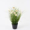 Artificial Grass 50*50*58cm Bellis perennis in PP pot GS-29424082 2024Aug YeahFlower is one of Chinese leading OEM manufacturers and exporters , supplying the silk flowers, wholesale artificial trees