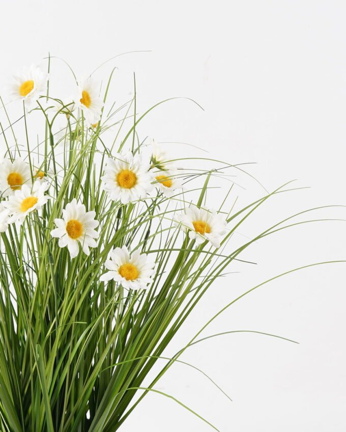 Artificial Grass 50*50*58cm Bellis perennis in PP pot GS-29424082 2024Aug YeahFlower is one of Chinese leading OEM manufacturers and exporters , supplying the silk flowers, wholesale artificial trees