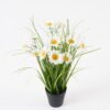 Artificial Grass Bellis perennis in PP pot GS-29424083_8 Artificial Grass 30*30*35cm Bellis perennis in PP pot GS-29424083 2024Aug YeahFlower is one of Chinese leading OEM manufacturers and exporters , supplying the silk flowers, wholesale artificial trees