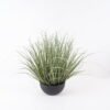 Artificial Grass Grass in PP pot GS-29424081_9 Artificial Grass 55*55*54cm Grass in PP pot GS-29424081 2024Aug YeahFlower is one of Chinese leading OEM manufacturers and exporters , supplying the silk flowers, wholesale artificial trees