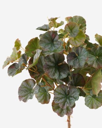 Artificial Plant 25*25*42cm Begonia *7 bush/70 Lvs GS-74924003CT 2024Jul YeahFlower is one of Chinese leading OEM manufacturers and exporters , supplying the silk flowers, wholesale artificial trees Artificial Plant 25*25*42cm Begonia *7 bush/70 Lvs GS-74924003CT 2024Jul YeahFlower is one of Chinese leading OEM manufacturers and exporters , supplying the silk flowers, wholesale artificial trees