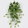 Artificial Plant Epipremnum Aureum 11 Hanging 138 lvs GS-29824042_3 Artificial Plant 48*48*90cm Epipremnum Aureum *11 Hanging /138 lvs GS-29824042 2024Aug YeahFlower is one of Chinese leading OEM manufacturers and exporters , supplying the silk flowers, wholesale artificial trees
