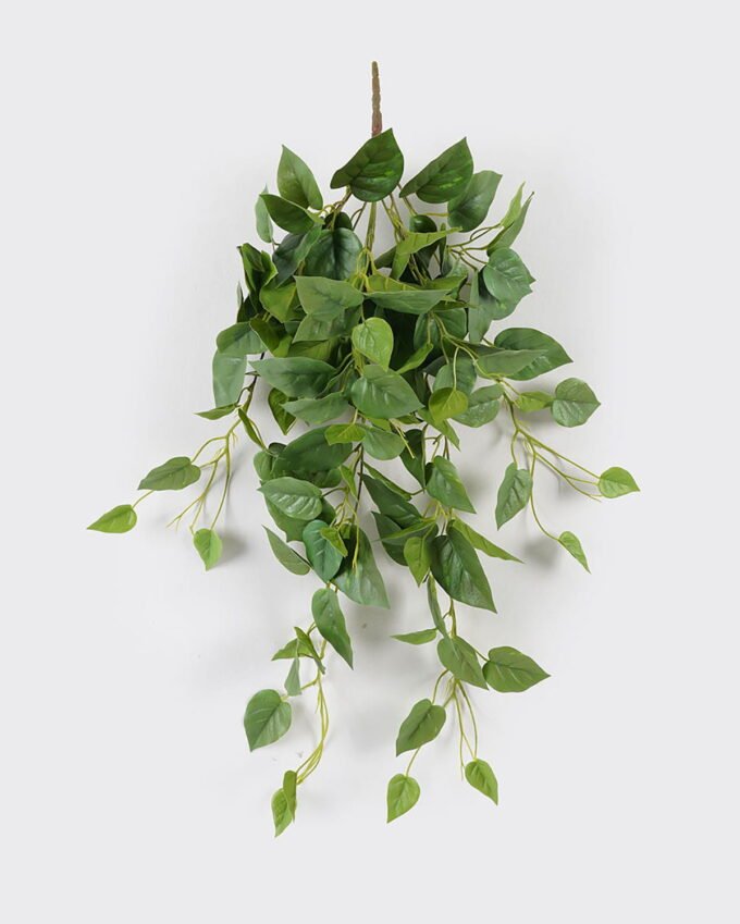 Artificial Plant Epipremnum Aureum 11 Hanging 138 lvs GS-29824042_3 Artificial Plant 48*48*90cm Epipremnum Aureum *11 Hanging /138 lvs GS-29824042 2024Aug YeahFlower is one of Chinese leading OEM manufacturers and exporters , supplying the silk flowers, wholesale artificial trees