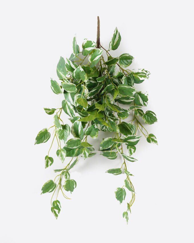 Artificial Plant Epipremnum Aureum 11 Hanging 138 lvs GS-29824042_4 Artificial Plant 48*48*90cm Epipremnum Aureum *11 Hanging /138 lvs GS-29824042 2024Aug YeahFlower is one of Chinese leading OEM manufacturers and exporters , supplying the silk flowers, wholesale artificial trees