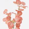 Artificial Plant 18*18*64cm  Eucalyptus *3  single stem GS-29824023CT 2024Jul YeahFlower is one of Chinese leading OEM manufacturers and exporters , supplying the silk flowers, wholesale artificial trees