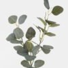 Artificial Plant Eucalyptus 3 single stem GS-29824024CT-G3_4 Artificial Plant 20*20*66cm Eucalyptus *3 single stem GS-29824024CT-G3 2024Jul YeahFlower is one of Chinese leading OEM manufacturers and exporters , supplying the silk flowers, wholesale artificial trees