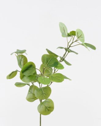 Artificial Plant 20*20*66cm Eucalyptus *3 single stem GS-29824024CT 2024Jul YeahFlower is one of Chinese leading OEM manufacturers and exporters , supplying the silk flowers, wholesale artificial trees Artificial Plant 20*20*66cm Eucalyptus *3 single stem GS-29824024CT 2024Jul YeahFlower is one of Chinese leading OEM manufacturers and exporters , supplying the silk flowers, wholesale artificial trees