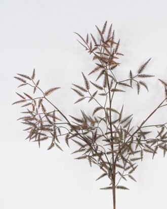 Artificial Plant 31*31*104cm Fern single stem GS-26224005-K2 2024Jul YeahFlower is one of Chinese leading OEM manufacturers and exporters , supplying the silk flowers, wholesale artificial trees Artificial Plant 31*31*104cm Fern single stem GS-26224005-K2 2024Jul YeahFlower is one of Chinese leading OEM manufacturers and exporters , supplying the silk flowers, wholesale artificial trees