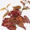 Artificial Plant Grape leaf 3 single stem GS-29824028CT-R1_5 Artificial Plant 23*23*64cm Grape leaf *3 single stem GS-29824028CT-R1 2024Jul YeahFlower is one of Chinese leading OEM manufacturers and exporters , supplying the silk flowers, wholesale artificial trees