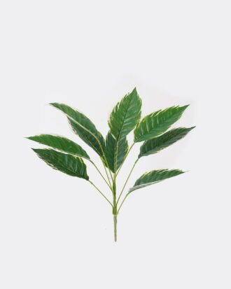 Artificial Plant 44*44*46cm Leaf *9 bush GS-00824009 2024Aug YeahFlower is one of Chinese leading OEM manufacturers and exporters , supplying the silk flowers, wholesale artificial trees Artificial Plant 44*44*46cm Leaf *9 bush GS-00824009 2024Aug YeahFlower is one of Chinese leading OEM manufacturers and exporters , supplying the silk flowers, wholesale artificial trees