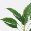 Artificial Plant Leaf 9 bush GS-00824009_1 Artificial Plant 44*44*46cm Leaf *9 bush GS-00824009 2024Aug YeahFlower is one of Chinese leading OEM manufacturers and exporters , supplying the silk flowers, wholesale artificial trees
