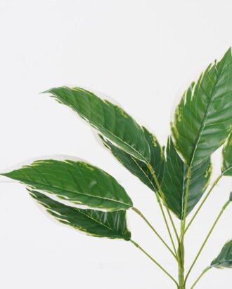 Artificial Plant 44*44*46cm Leaf *9 bush GS-00824009 2024Aug YeahFlower is one of Chinese leading OEM manufacturers and exporters , supplying the silk flowers, wholesale artificial trees Artificial Plant 44*44*46cm Leaf *9 bush GS-00824009 2024Aug YeahFlower is one of Chinese leading OEM manufacturers and exporters , supplying the silk flowers, wholesale artificial trees