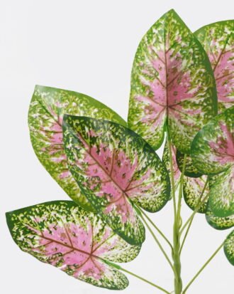 Artificial Plant 41*41*42cm Leaf *9 bush GS-00824011 2024Aug YeahFlower is one of Chinese leading OEM manufacturers and exporters , supplying the silk flowers, wholesale artificial trees Artificial Plant 41*41*42cm Leaf *9 bush GS-00824011 2024Aug YeahFlower is one of Chinese leading OEM manufacturers and exporters , supplying the silk flowers, wholesale artificial trees