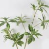 Artificial Plant 30*30*85cm Leaves single stem GS-39123008CT 2024Jul YeahFlower is one of Chinese leading OEM manufacturers and exporters , supplying the silk flowers, wholesale artificial trees