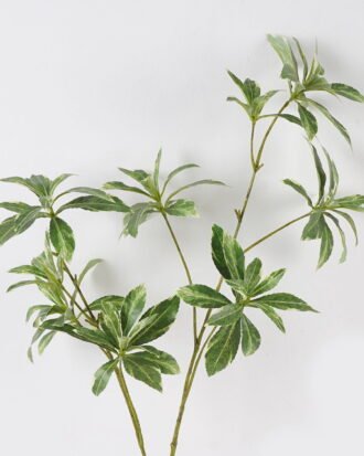 Artificial Plant 30*30*85cm Leaves single stem GS-39123008CT 2024Jul YeahFlower is one of Chinese leading OEM manufacturers and exporters , supplying the silk flowers, wholesale artificial trees Artificial Plant 30*30*85cm Leaves single stem GS-39123008CT 2024Jul YeahFlower is one of Chinese leading OEM manufacturers and exporters , supplying the silk flowers, wholesale artificial trees