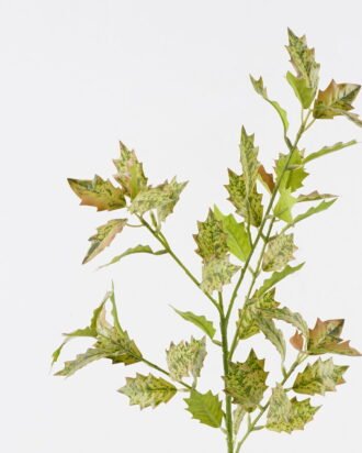 Artificial Plant 22*22*80cm Osmanthus leaves single stem GS-26224009-G4 2024Jul YeahFlower is one of Chinese leading OEM manufacturers and exporters , supplying the silk flowers, wholesale artificial trees Artificial Plant 22*22*80cm Osmanthus leaves single stem GS-26224009-G4 2024Jul YeahFlower is one of Chinese leading OEM manufacturers and exporters , supplying the silk flowers, wholesale artificial trees