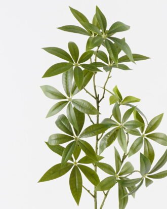 Artificial Plant 18*18*83cm Pachira macrocarpa leaves single stem GS-26224011 2024Jul YeahFlower is one of Chinese leading OEM manufacturers and exporters , supplying the silk flowers, wholesale artificial trees Artificial Plant 18*18*83cm Pachira macrocarpa leaves single stem GS-26224011 2024Jul YeahFlower is one of Chinese leading OEM manufacturers and exporters , supplying the silk flowers, wholesale artificial trees