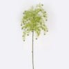 Artificial Plant Peganum harmala single stem GS-26224007_3 Artificial Plant 16*16*63cm Peganum harmala single stem GS-26224007 2024Jul YeahFlower is one of Chinese leading OEM manufacturers and exporters , supplying the silk flowers, wholesale artificial trees