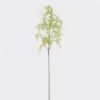Artificial Plant Peganum harmala single stem GS-26224008-G1_3 Artificial Plant 20*20*100cm Peganum harmala single stem GS-26224008-G1 2024Jul YeahFlower is one of Chinese leading OEM manufacturers and exporters , supplying the silk flowers, wholesale artificial trees