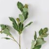 Artificial Plant 20*20*74cm Pittospora leaf*3 single stem GS-39124002CT Leaves&Sprays&Foliages 3,000+ sqm showroom with thousands of artificial flowers, plants & trees ready for global sourcing.