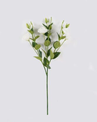 Artificial Plant 35*35*77cm Platycodon grandiflorus Single stem GS-44324001-W1 2024Jul YeahFlower is one of Chinese leading OEM manufacturers and exporters , supplying the silk flowers, wholesale artificial trees Artificial Plant 35*35*77cm Platycodon grandiflorus Single stem GS-44324001-W1 2024Jul YeahFlower is one of Chinese leading OEM manufacturers and exporters , supplying the silk flowers, wholesale artificial trees