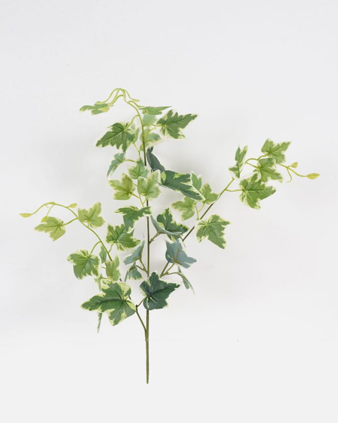 Artificial Plant Sweetpotato leaf 3 single stem GS-29824039_6 Artificial Plant 30*30*58cm Sweetpotato leaf *3 single stem GS-29824039 2024Aug YeahFlower is one of Chinese leading OEM manufacturers and exporters , supplying the silk flowers, wholesale artificial trees
