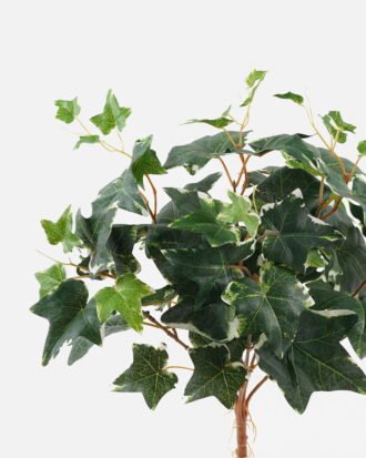 Artificial Plant 25*25*42cm Sweetpotato leaf *7 bush/70 Lvs GS-74924004CT 2024Jul YeahFlower is one of Chinese leading OEM manufacturers and exporters , supplying the silk flowers, wholesale artificial trees Artificial Plant 25*25*42cm Sweetpotato leaf *7 bush/70 Lvs GS-74924004CT 2024Jul YeahFlower is one of Chinese leading OEM manufacturers and exporters , supplying the silk flowers, wholesale artificial trees