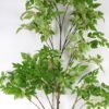 Artificial Plant 60*60*190cm leaf Spray single stem GS-53624005CT 2024Jul YeahFlower is one of Chinese leading OEM manufacturers and exporters , supplying the silk flowers, wholesale artificial trees