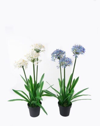 Artificial Table Plants 65*60*100cm Agapanthus africanus *3 in PP pot GS-15424005CT 2024Jul YeahFlower is one of Chinese leading OEM manufacturers and exporters , supplying the silk flowers, wholesale artificial trees Artificial Table Plants 65*60*100cm Agapanthus africanus *3 in PP pot GS-15424005CT 2024Jul YeahFlower is one of Chinese leading OEM manufacturers and exporters , supplying the silk flowers, wholesale artificial trees
