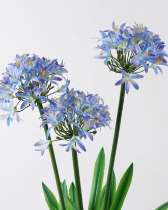 Artificial Table Plants 65*60*100cm Agapanthus africanus *3 in PP pot GS-15424005CT 2024Jul YeahFlower is one of Chinese leading OEM manufacturers and exporters , supplying the silk flowers, wholesale artificial trees Artificial Table Plants 65*60*100cm Agapanthus africanus *3 in PP pot GS-15424005CT 2024Jul YeahFlower is one of Chinese leading OEM manufacturers and exporters , supplying the silk flowers, wholesale artificial trees