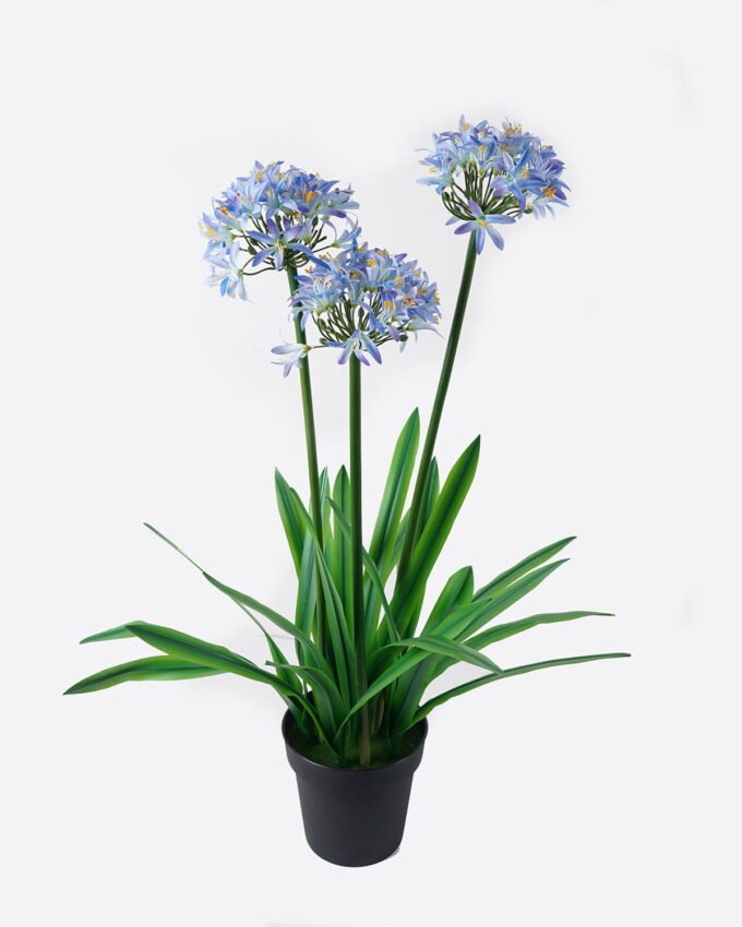 Artificial Table Plants 65*60*100cm Agapanthus africanus *3 in PP pot GS-15424005CT 2024Jul YeahFlower is one of Chinese leading OEM manufacturers and exporters , supplying the silk flowers, wholesale artificial trees