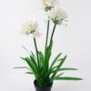 Artificial Table Plants 65*60*100cm Agapanthus africanus *3 in PP pot GS-15424005CT 2024Jul YeahFlower is one of Chinese leading OEM manufacturers and exporters , supplying the silk flowers, wholesale artificial trees