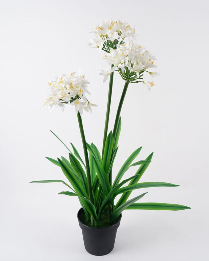 Artificial Table Plants 65*60*100cm Agapanthus africanus *3 in PP pot GS-15424005CT 2024Jul YeahFlower is one of Chinese leading OEM manufacturers and exporters , supplying the silk flowers, wholesale artificial trees